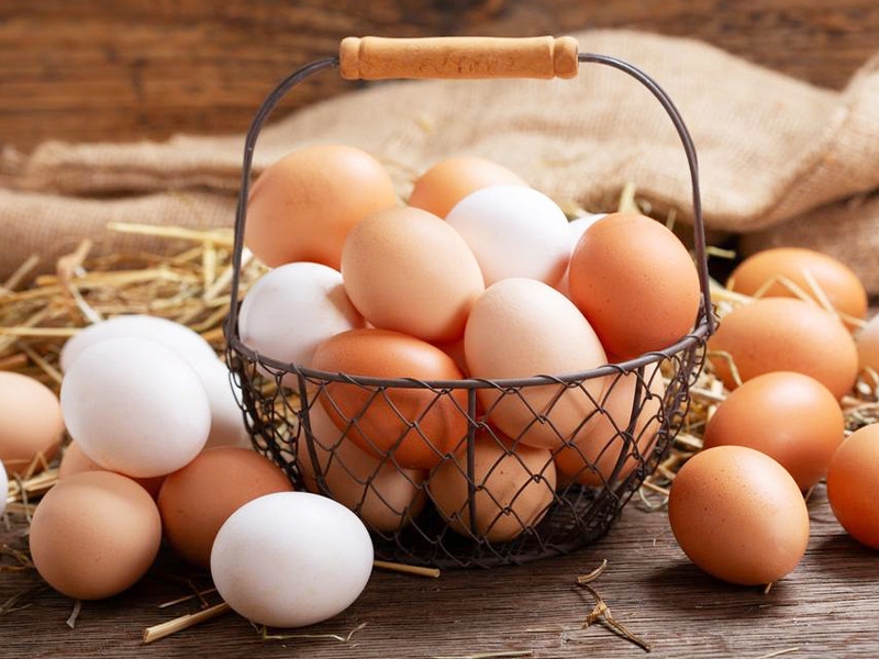 اسعار البيض اليوم2 اسعار البيض اليوم2